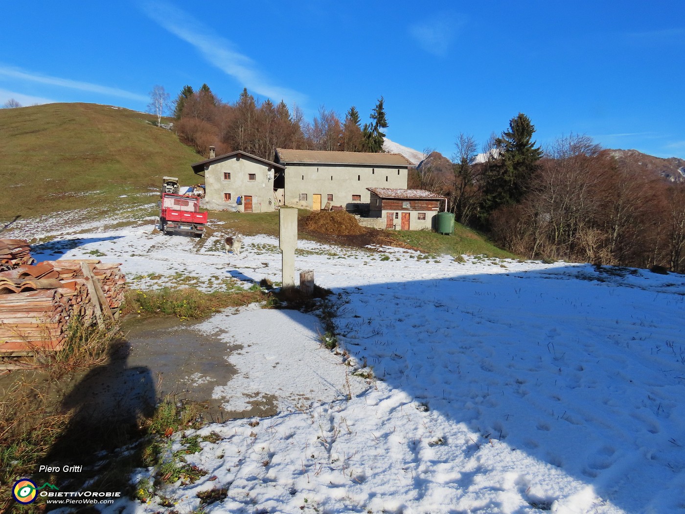 16 Qui si lavora, mentre io vado a spasso.JPG